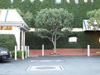 vw-November 08, 2019-00422