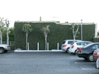 vw-November 08, 2019-00427