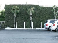 vw-November 08, 2019-00428