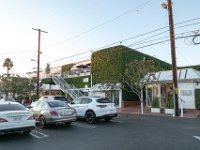 vw-November 08, 2019-00429