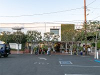 vw-November 08, 2019-00433