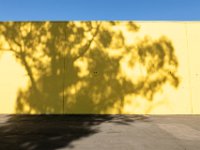 vw-November 08, 2019-00140