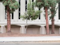 vw-November 08, 2019-00458