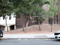 vw-November 08, 2019-00462