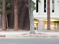 vw-November 08, 2019-00468