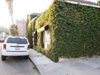 vw-November 11, 2019-00336