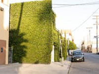 vw-November 11, 2019-00337