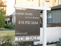 vw-November 11, 2019-00389