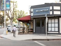 vw-November 11, 2019-00368