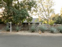 vw-November 11, 2019-00340