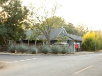 vw-November 11, 2019-00349