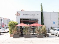 vw-November 11, 2019-00186