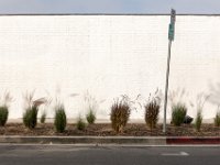 vw-November 11, 2019-00040