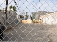 vw-November 11, 2019-00049