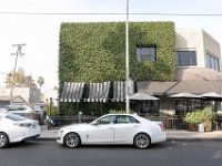 vw-November 11, 2019-00070