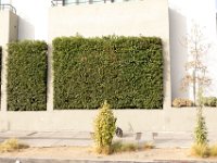 vw-November 11, 2019-00059