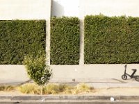 vw-November 11, 2019-00061