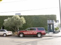 vw-November 11, 2019-00079