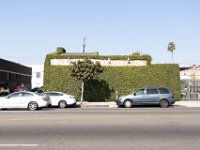 vw-November 11, 2019-00238