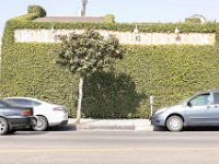 vw-November 11, 2019-00240