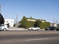 vw-November 11, 2019-00242