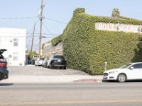 vw-November 11, 2019-00243