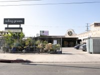 vw-November 11, 2019-00245