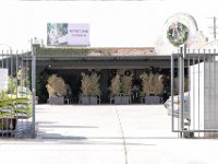 vw-November 11, 2019-00250