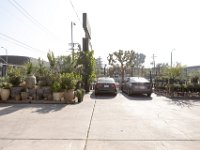 vw-November 11, 2019-00257