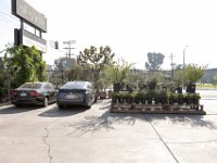 vw-November 11, 2019-00258