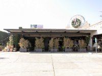 vw-November 11, 2019-00259