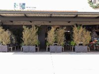 vw-November 11, 2019-00260