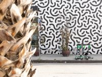 vw-November 11, 2019-00102