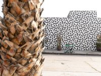 vw-November 11, 2019-00103