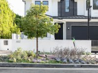 vw-November 11, 2019-00114