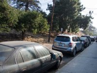 Button Mash-Echo Park