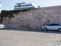 Clarigton Ave Parking Lot-003