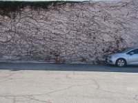 Clarigton Ave Parking Lot-010